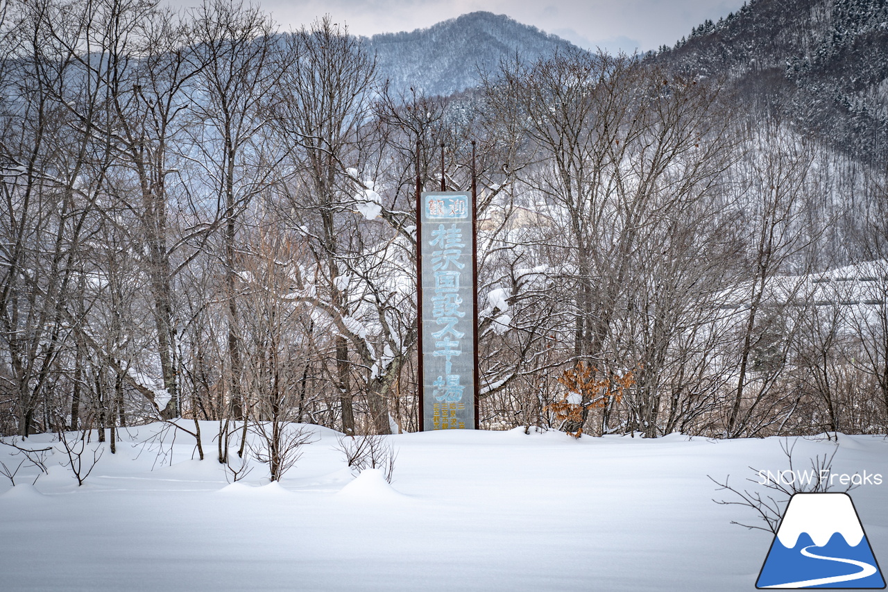 桂沢国設スキー場｜もしかして、春の足音が聞こえはじめた？湿り雪に季節の移ろいを感じた日曜日。